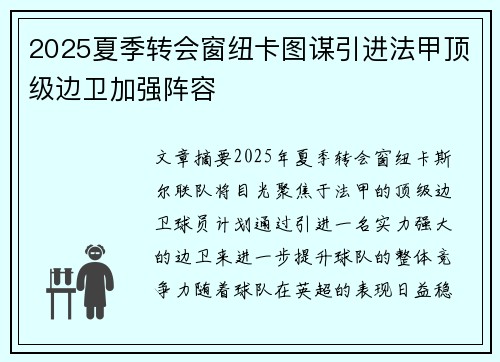 2025夏季转会窗纽卡图谋引进法甲顶级边卫加强阵容